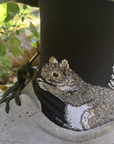 This Night, Squirrel Socks- Navy