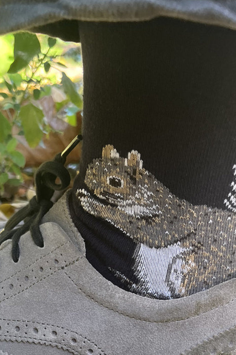 This Night, Squirrel Socks- Navy
