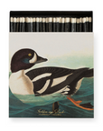 Archivist Gallery, The Golden-eye Duck by Audubon