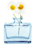Chive, Loft Glass Bud Vase