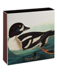 Archivist Gallery, The Golden-eye Duck by Audubon