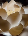 Lotan, Tulip Lighting Fixture
