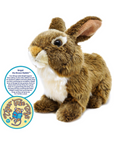 Brigid the Brown Rabbit | 10 Inch Stuffed Animal Plush