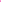 Vilagallo, Harlow Jacket- Neon Pink