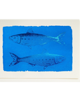 Archivist Gallery, Printed Card-Sardines