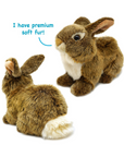 Brigid the Brown Rabbit | 10 Inch Stuffed Animal Plush