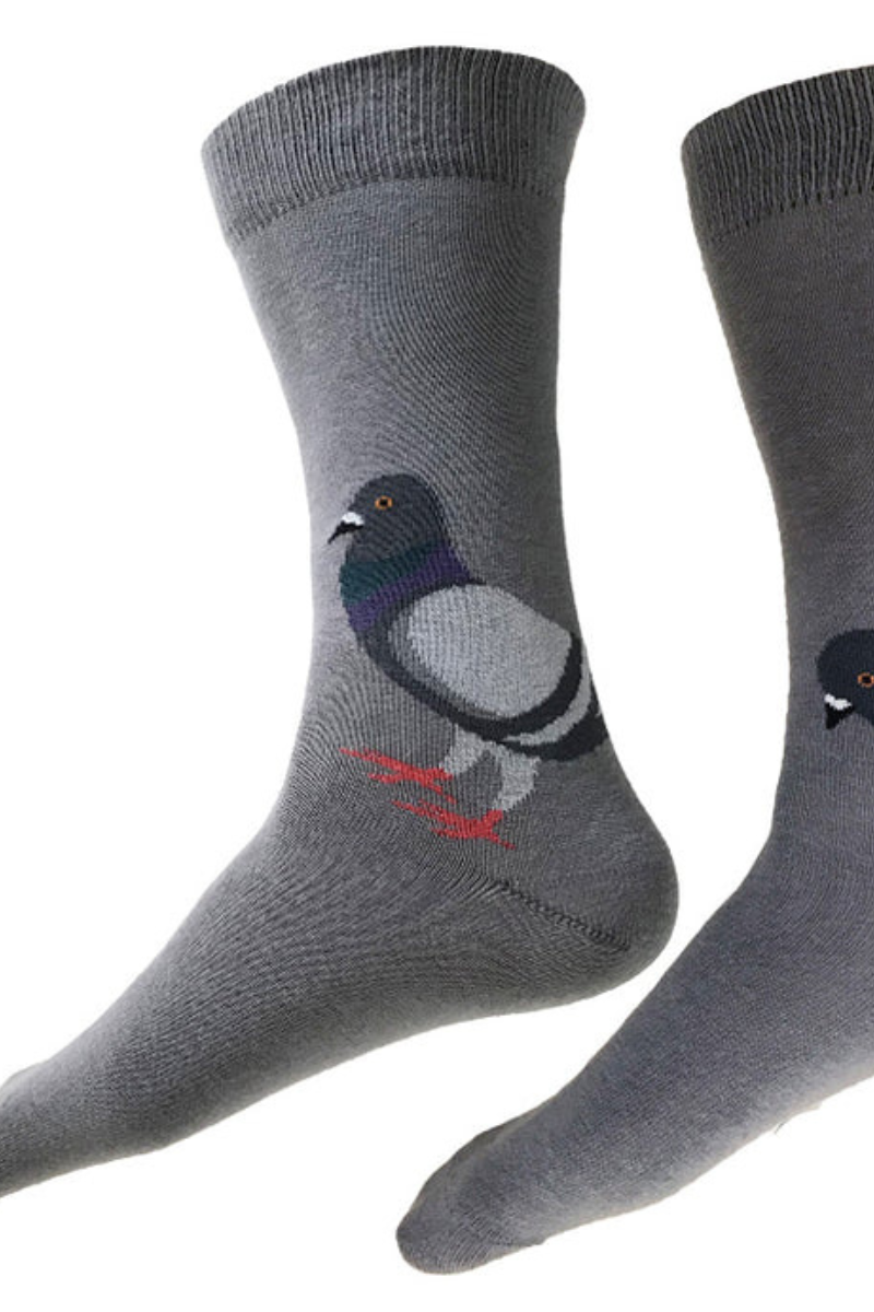 This Night, Pigeon Socks -