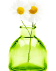 Chive, Loft Glass Bud Vase
