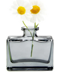 Chive, Loft Glass Bud Vase