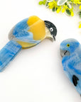 Charming Bird-Inspired Hair Claw Clip Collection