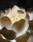 Lotan, Tulip Lighting Fixture