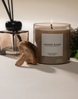Poured New York, Shroom Bloom Candle