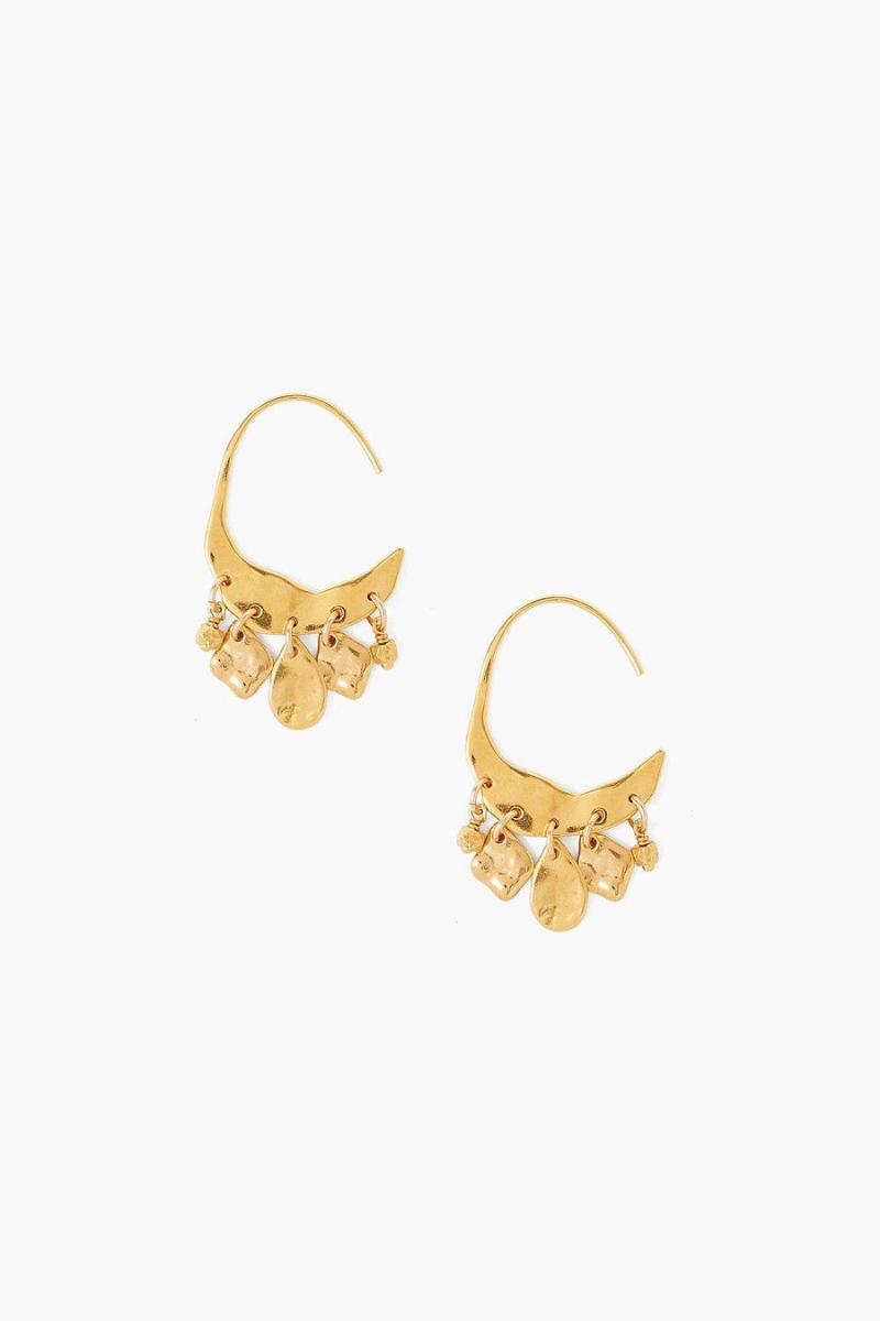 Png on sale earrings gold