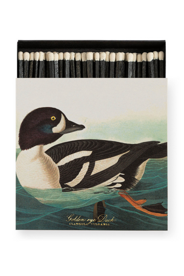 Archivist Gallery, The Golden-eye Duck by Audubon
