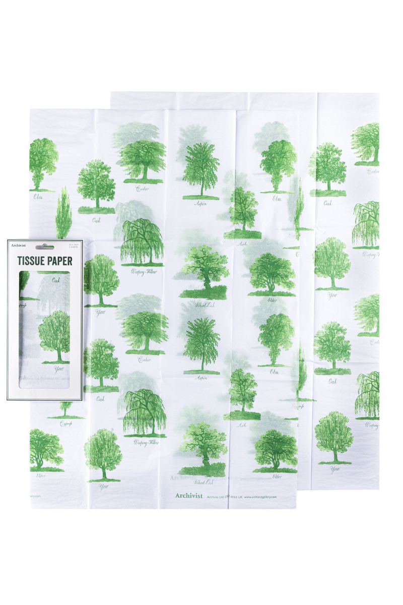 Archivist Gallery, Trees Tissue Paper