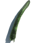 MC, Cashmere Whisper Paisley Stole