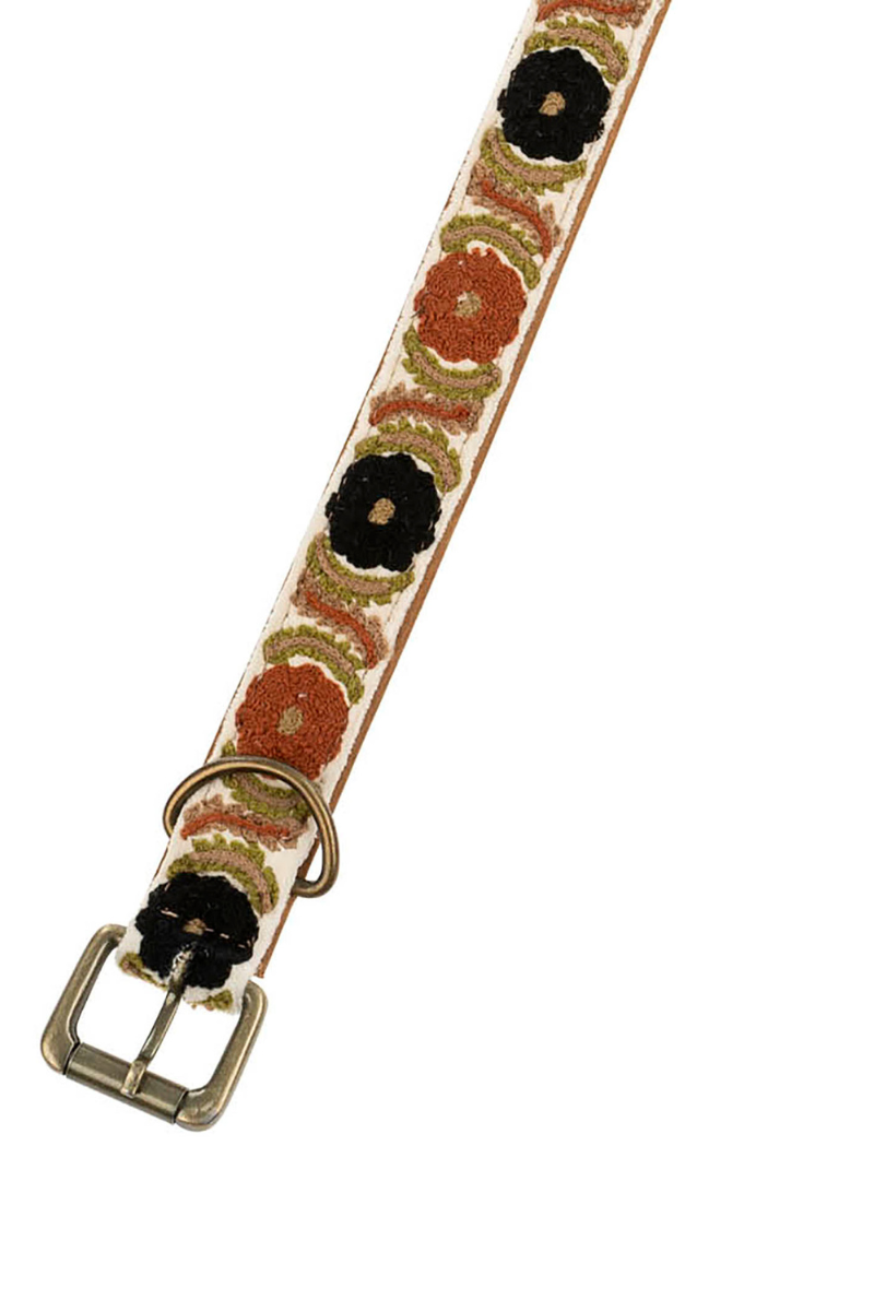 Indaba, Bruli Embroidered Dog Collar