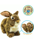 Brigid the Brown Rabbit | 10 Inch Stuffed Animal Plush
