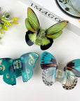 Hair Claw Clip, Colourful butterflies