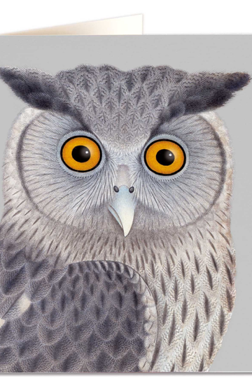 Archivist Gallery, Printed Card-Dusky Eagle Owl