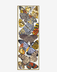 Inoui Editions, 70 Papillons-White