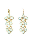 Lanai Earrings