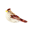 Bird Hair Claw Clip
