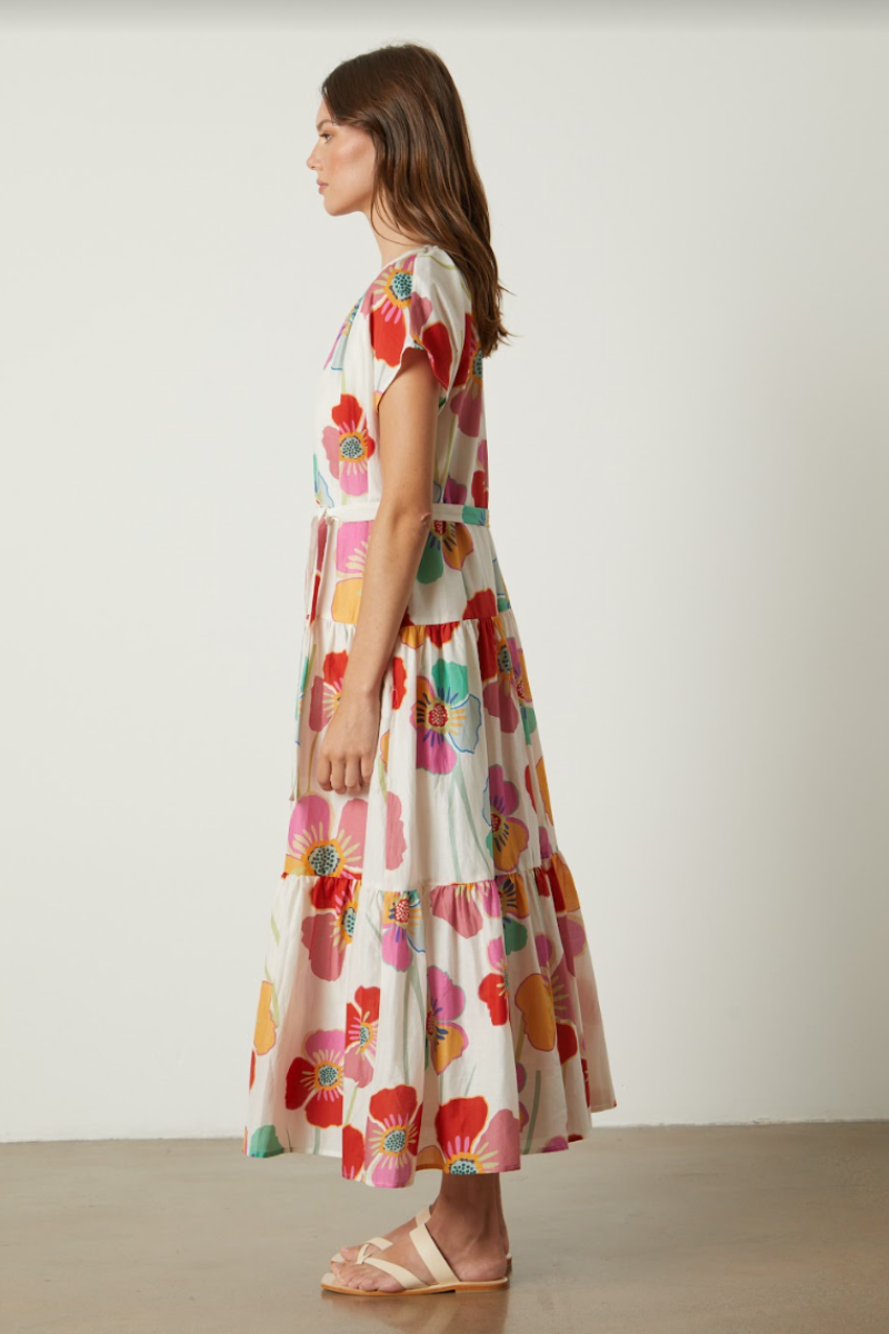 Velvet, Savannah Printed Dress